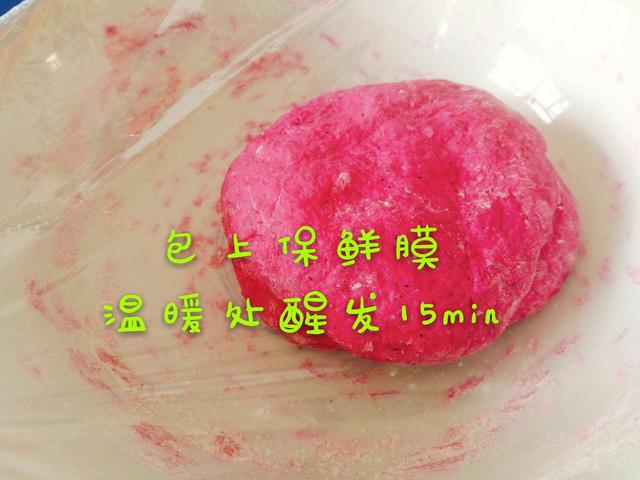 火龙果磨牙棒