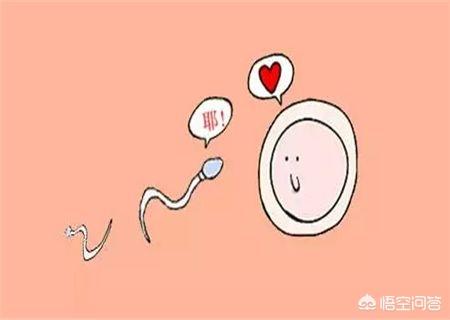 月经过后什么时间怀孕几率高？
