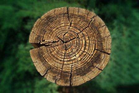 在医院的病房，多少人被迫一夜之间成长！