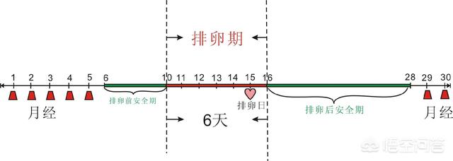 月经过后什么时间怀孕几率高？