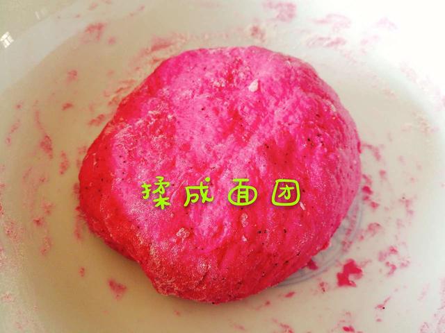 火龙果磨牙棒
