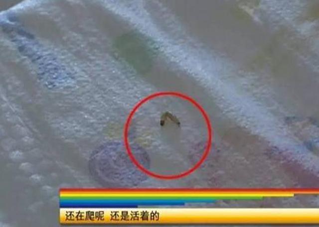 妈妈买了包纸尿裤，三天后打开惊慌不已，纸尿裤究竟该怎么给娃选