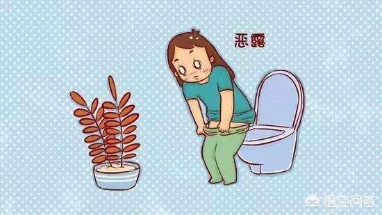 产后如何促进恶露的排出？怎样进行盆底肌的恢复？