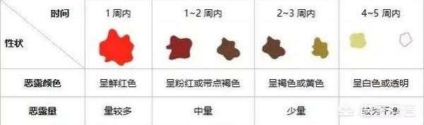 产后如何促进恶露的排出？怎样进行盆底肌的恢复？