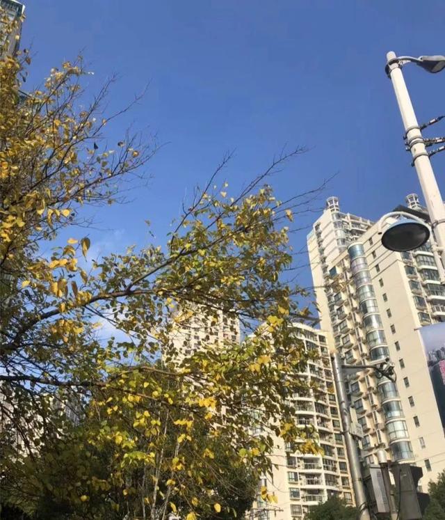 重度雾霾，宝宝一不小心就会咳咳咳，这些呼吸道护理方法妈妈要懂