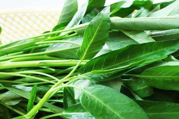 初春时,要想孩子长高,要多吃一点它,比鸡蛋牛奶营养价值还高