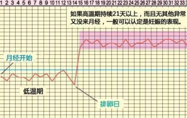 备孕时，找准排卵期是关键，这3个排卵信号女人要牢记！