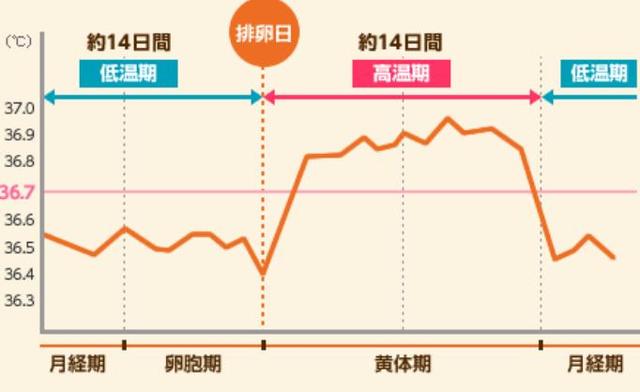 夫妻想要快速怀孕，除了吃叶酸，这3件事也应该做好！