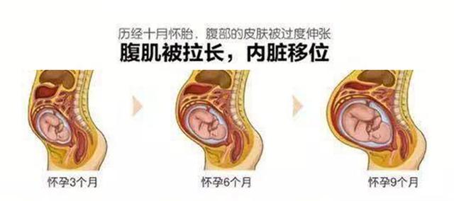 怀孕后妈妈的肚子里都发生了些什么？看完心疼妈妈一万遍！