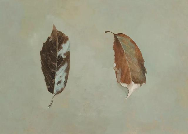 你和我的仲夏夜之梦：李句多（插画师，绘本画家）