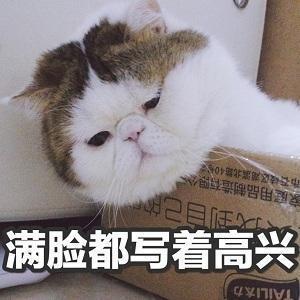你的孩子玩游戏吗？“开锁”功能要来了！丨企业圈儿