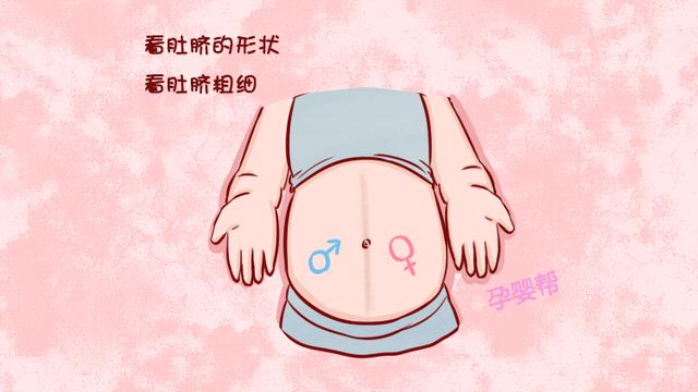 从孕妈肚脐能看出男孩女孩？妇产科专家：这一点才起到决定作用