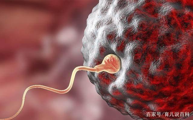 女性最晚的生育年龄你知道吗？医生：到了这个年纪，还是别生了
