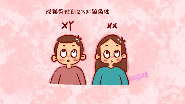 从孕妈肚脐能看出男孩女孩？妇产科专家：这一点才起到决定作用