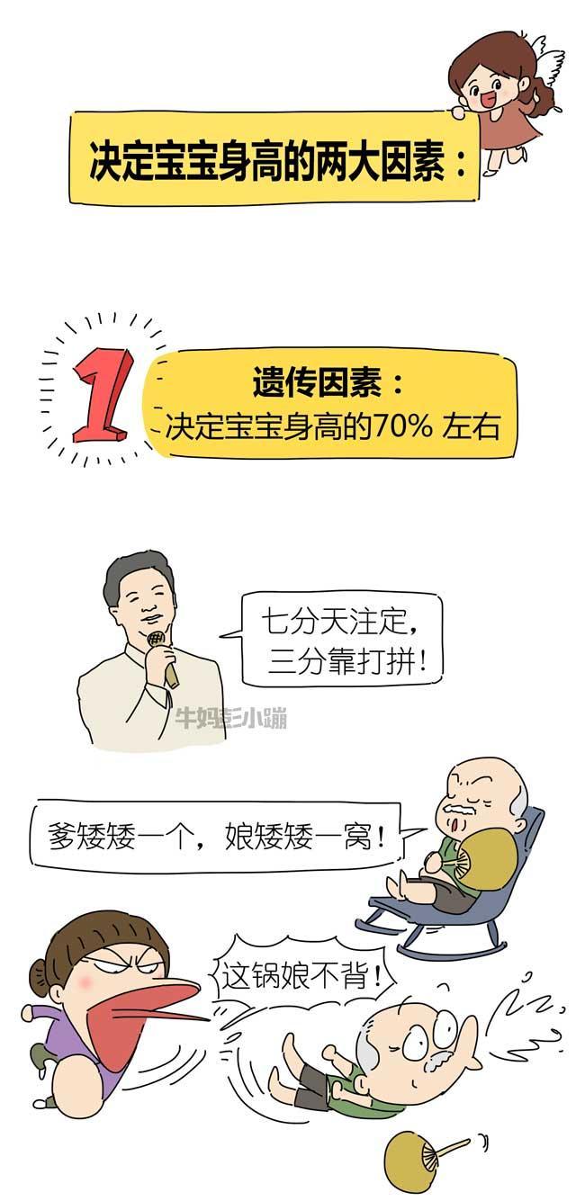 爹矮矮一个，娘矮矮一窝？这锅娘不背！