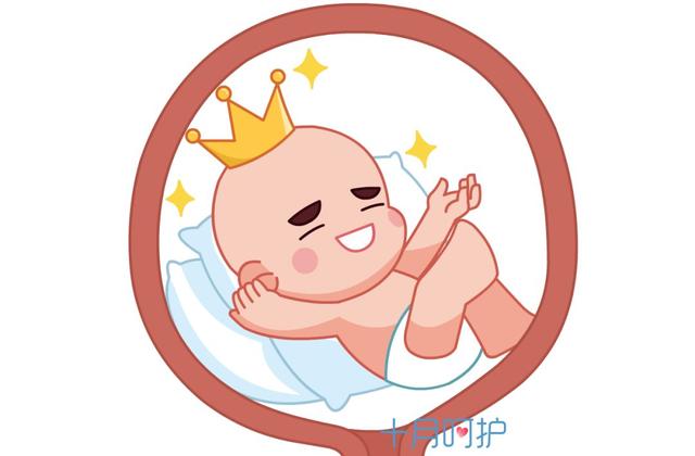 19张图片真实还原，50克的子宫是怎样装下3000克的胎儿