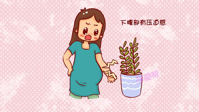 孕妈身上这个部位消失，说明胎儿快要降生了，赶紧去医院