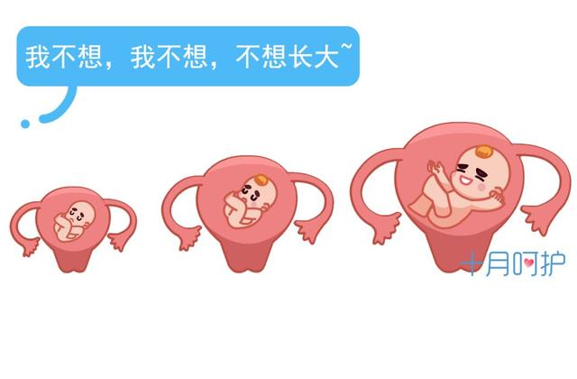 19张图片真实还原，50克的子宫是怎样装下3000克的胎儿