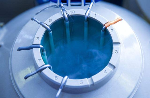 试管婴儿的差别到底在哪？是智力还是寿命？或许和你想的不一样