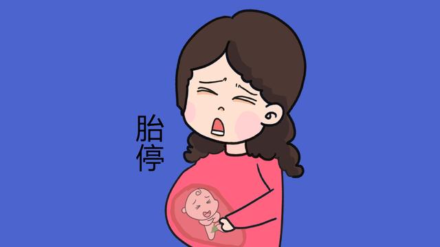 孕期胎停会影响下次怀孕成功率？放轻松，三种原因的胎停不用担心