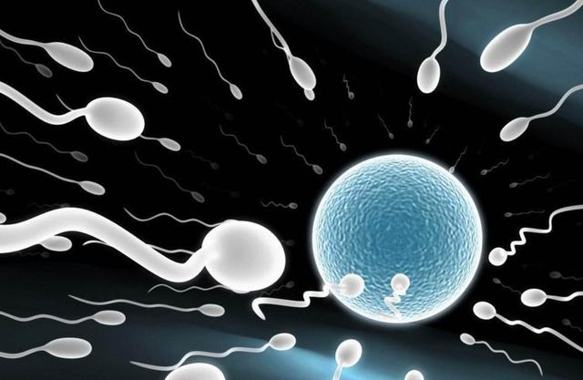 排卵日备孕还是不成功？不如试试这个方法，几率可能会更大哦