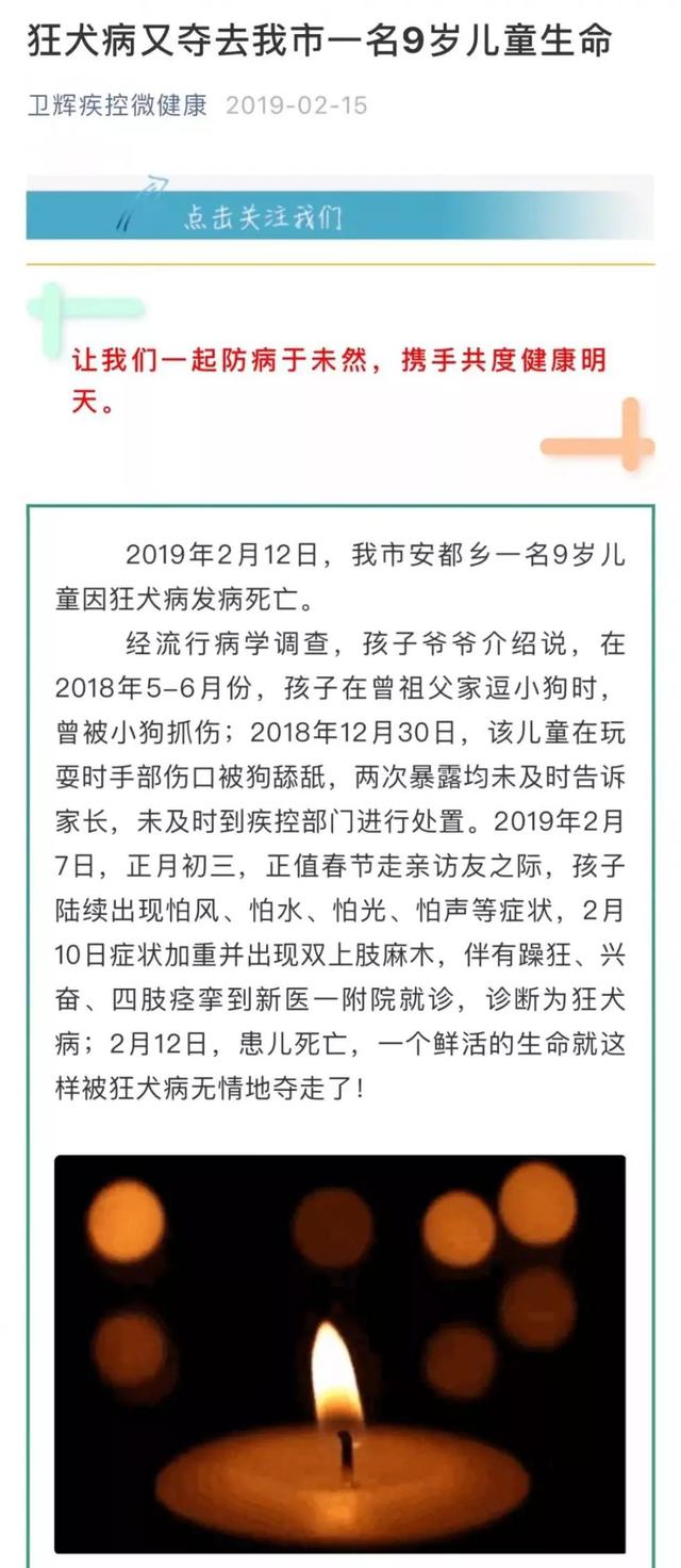 7岁男孩狂犬病发：孩子背着你，都干了些什么？