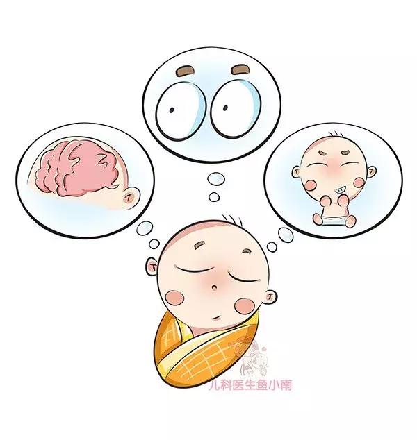 DHA，贯穿一生的营养素到底要不要补？什么时候补？怎么补？