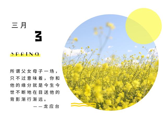 奥斯卡获奖短片《包宝宝》：你的“过度保护”正在吞噬孩子！