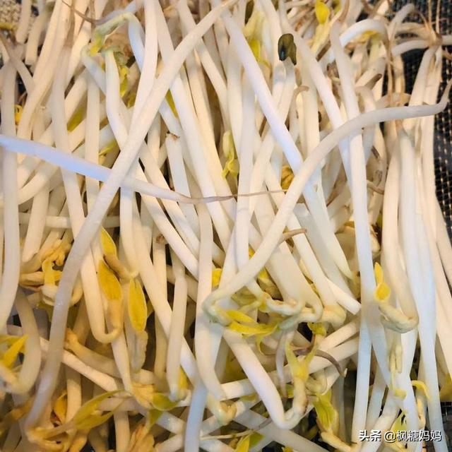 春天，孕妇多吃这几种春芽，不但对宝宝好，对妈妈也好