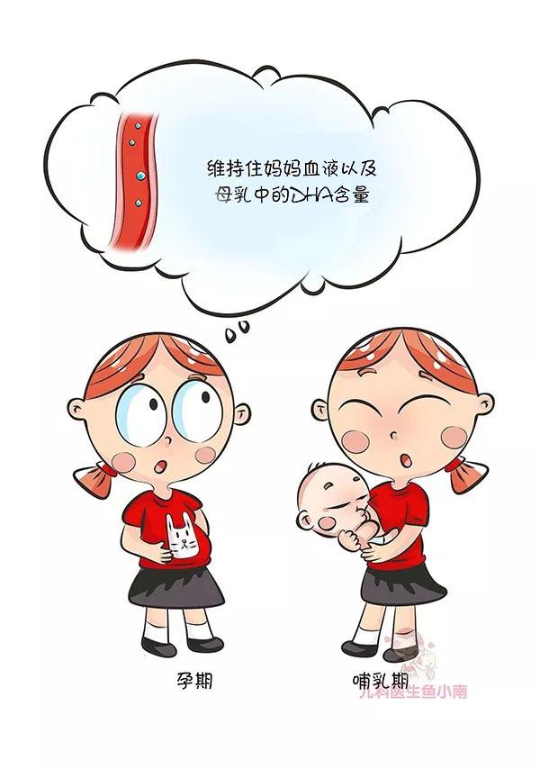 DHA，贯穿一生的营养素到底要不要补？什么时候补？怎么补？