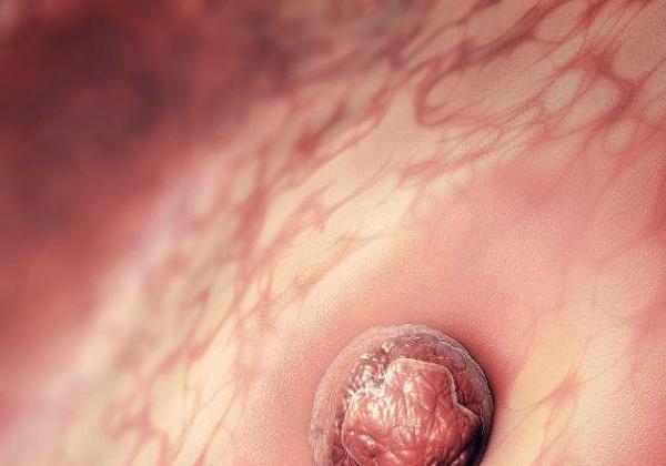 受精卵着床的那一刻，女人会有这3大“感觉”，若你都有就恭喜了