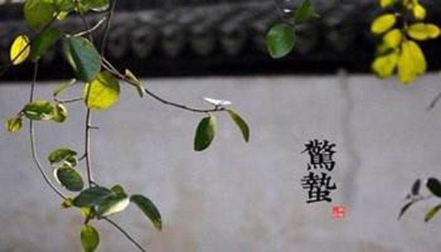 惊蛰带娃需记“3少2多”，保护孩子脾胃，让咳嗽生病远离孩子