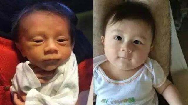 半岁宝宝6个月对比照，整容式生长？新生儿刚出生不像爸妈像动物