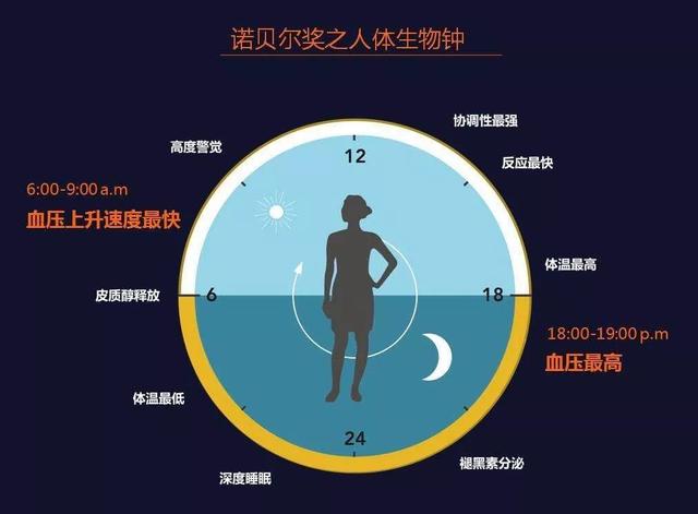 诺奖研究告诉你，晚饭后为什么不宜辅导作业