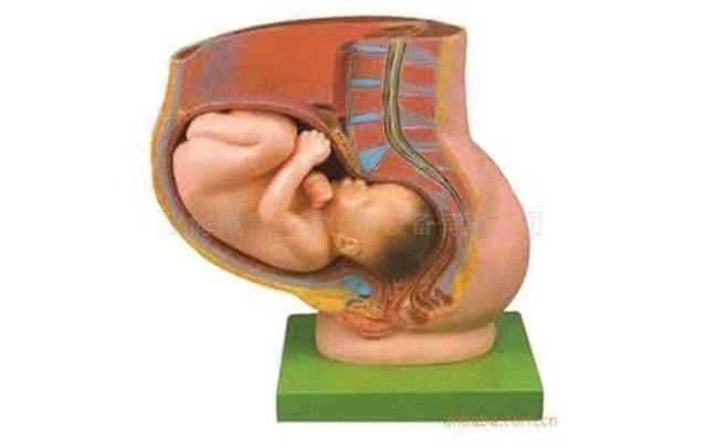 孕妇提前了解下：什么情况下才可以顺产？产妇都要经历哪些痛苦？