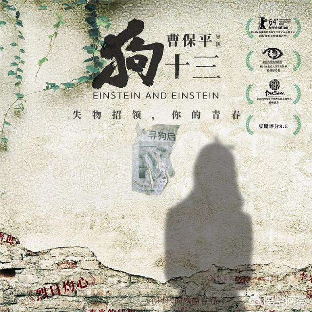你觉得《狗十三》映射的问题是父母对孩子关心少，还是过于溺爱？