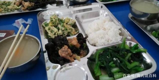 日本幼儿园10元午餐，再看中国幼儿园10元午餐，差距一目了然