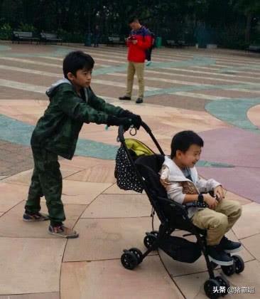 张柏芝看谢振轩陪弟弟玩，谢振南身子坐不进婴儿车却笑得很开心！