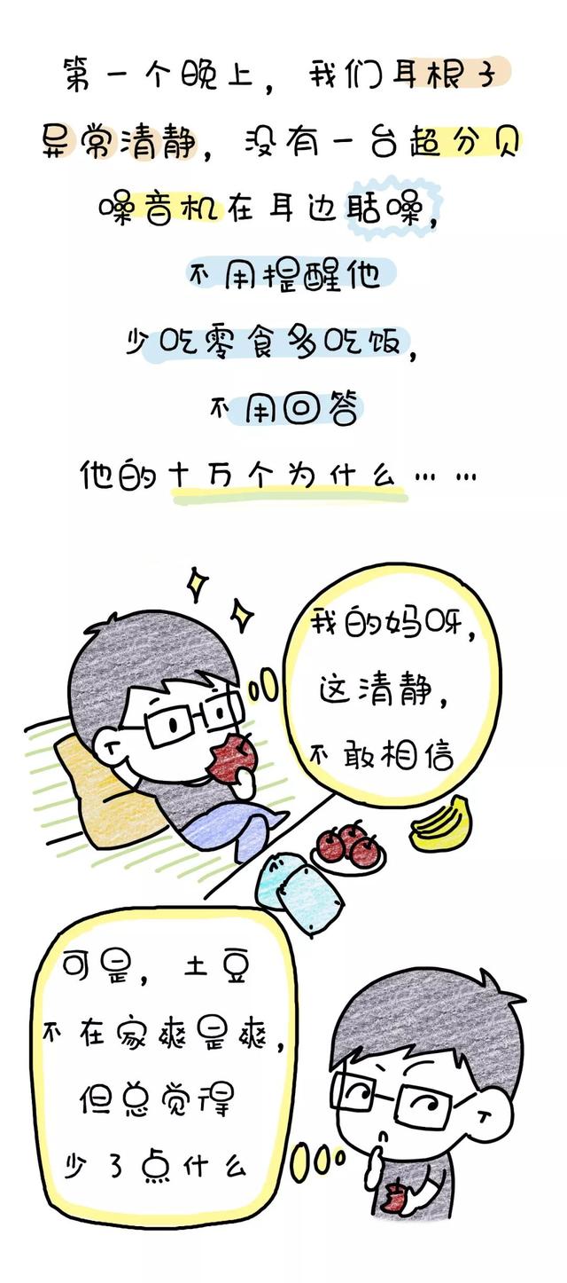 儿子不在家的168个小时