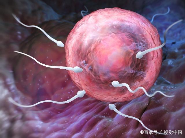 女人到了多少岁，还能要二胎？若还没超过这个年龄，可以考虑！