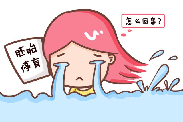 胚胎停育都是有前兆的，如果有这些症状要及时就医，保胎还来得及