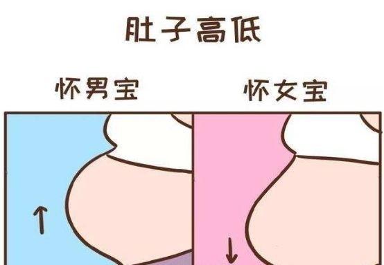 育儿说：怀孕妈妈孕肚高低有什么不同？都需要注意些什么呢？