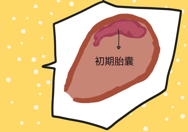 孕吐反应很重要，还能阻止致畸物？四种应对孕吐的技巧需知道