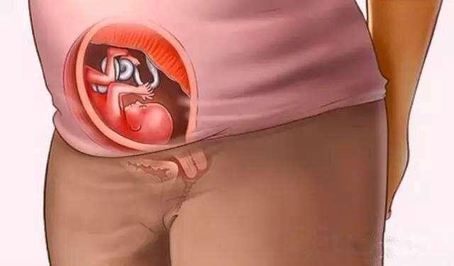 孕期的苦乐：女人怀孕以后，孕妈妈的内脏器官被挤到哪里去了？