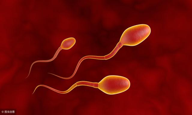 为什么生过孩子的女人更容易怀孕？快来看看大夫怎么说