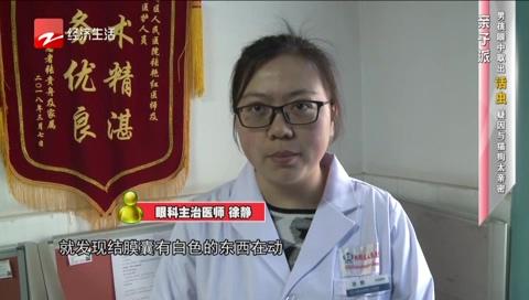 2岁男孩眼睛红痒，还有“活虫”游动，疑因与猫狗亲密接触有关！