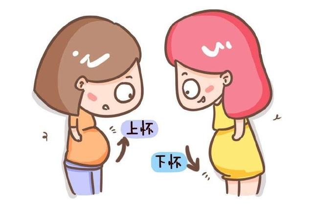 育儿说：怀孕妈妈孕肚高低有什么不同？都需要注意些什么呢？