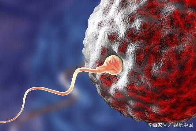 若你正巧在这3个时间怀孕，宝宝有福，妈妈也跟着沾光！