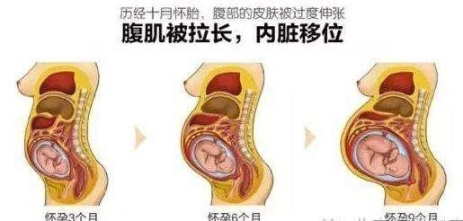 孕期的苦乐：女人怀孕以后，孕妈妈的内脏器官被挤到哪里去了？