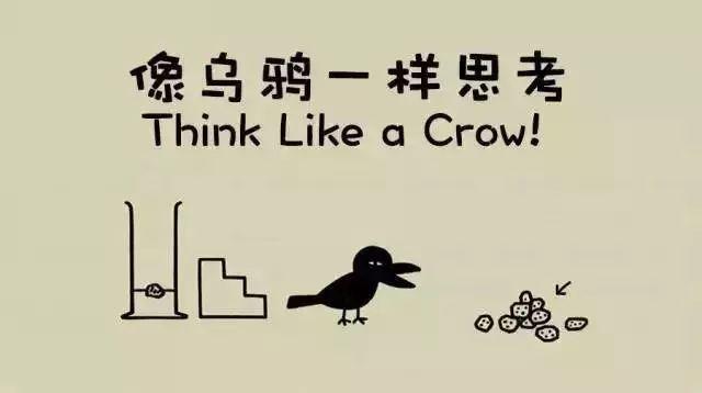看完这部9.3分纪录片，我终于get到排名前1%孩子的思考秘诀